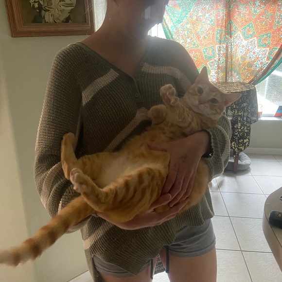 Animal Friendly Home - Picture 16 of 16